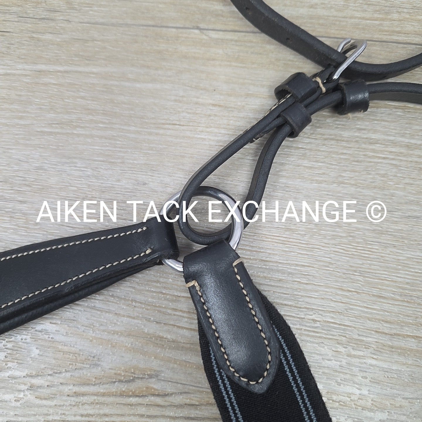 5 Point Elastic Breastplate with Running Martingale Attachment, Black, Size Pony