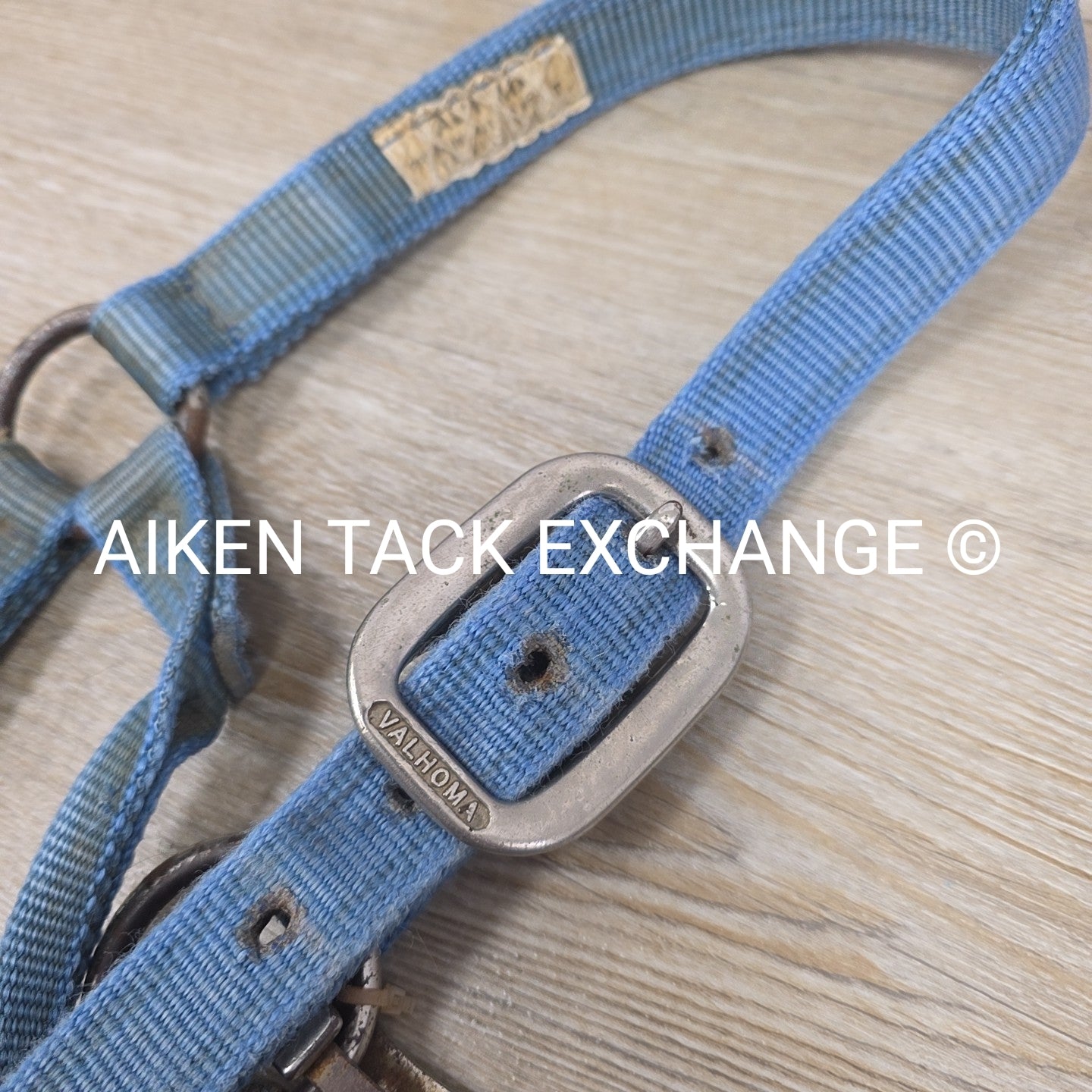 BARGAIN BUNDLE: 3 Nylon Halters, Various Sizes