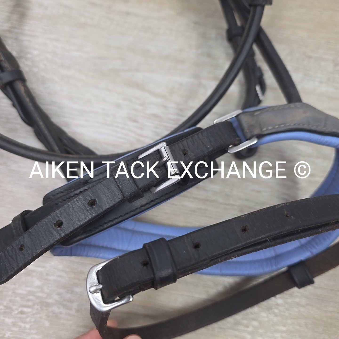 Halter Ego Rolled Dressage Bridle, No Reins, Size Cob