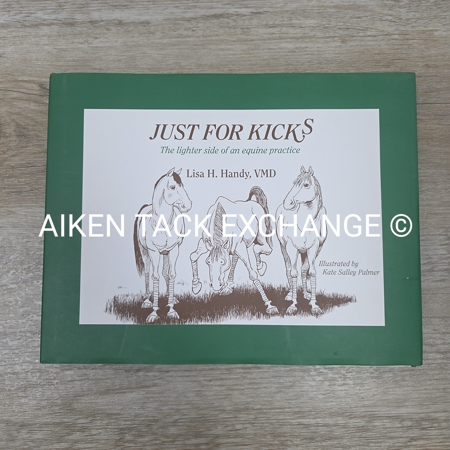 Just for Kicks by Lisa H. Handy