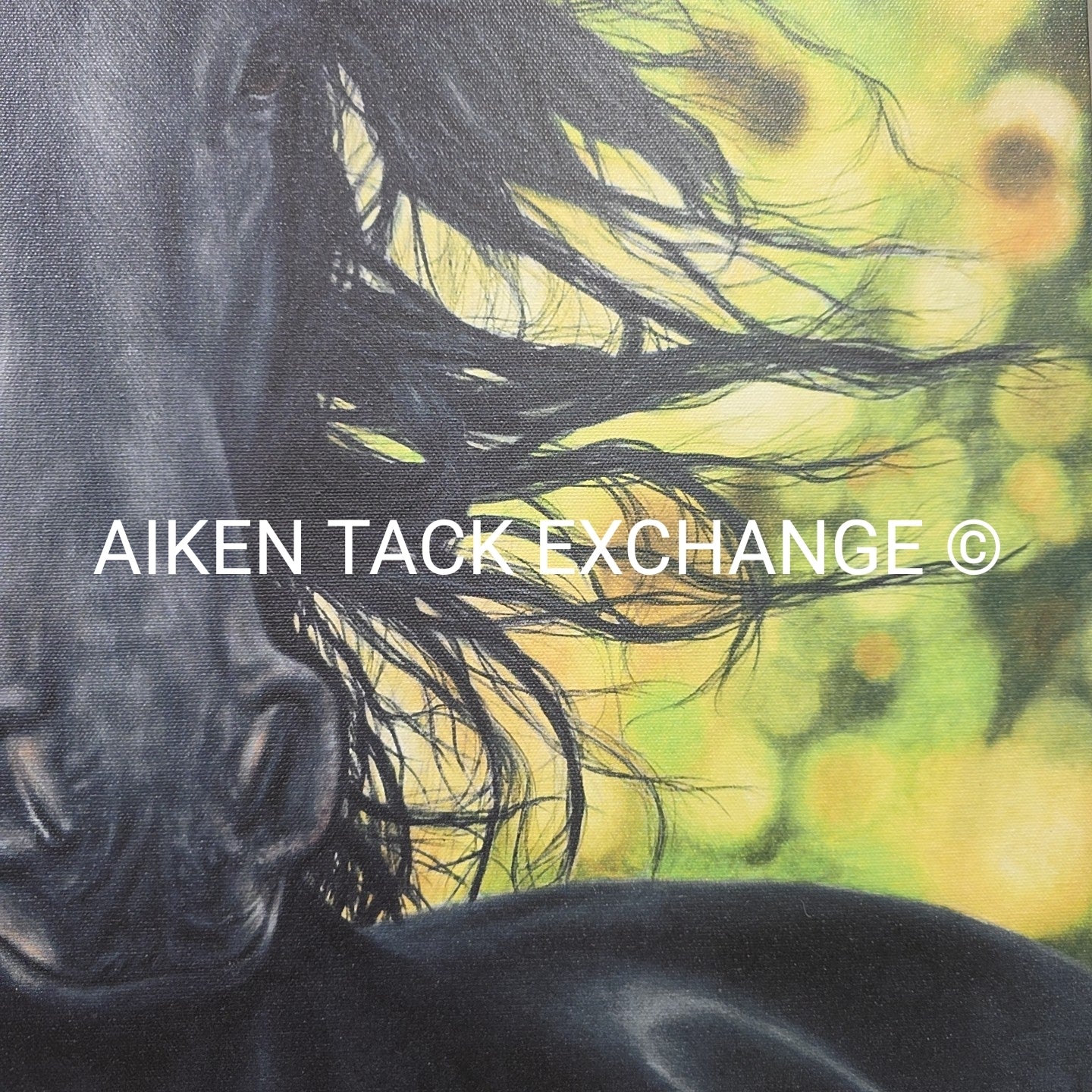 Horse Print on Canvas, 25.5" x 31.5"