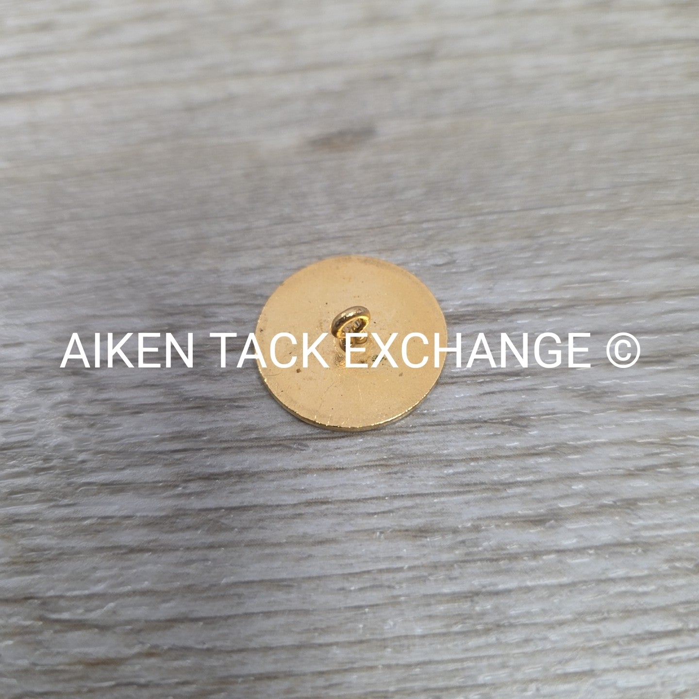 Tryon Hounds Brass Button, Large