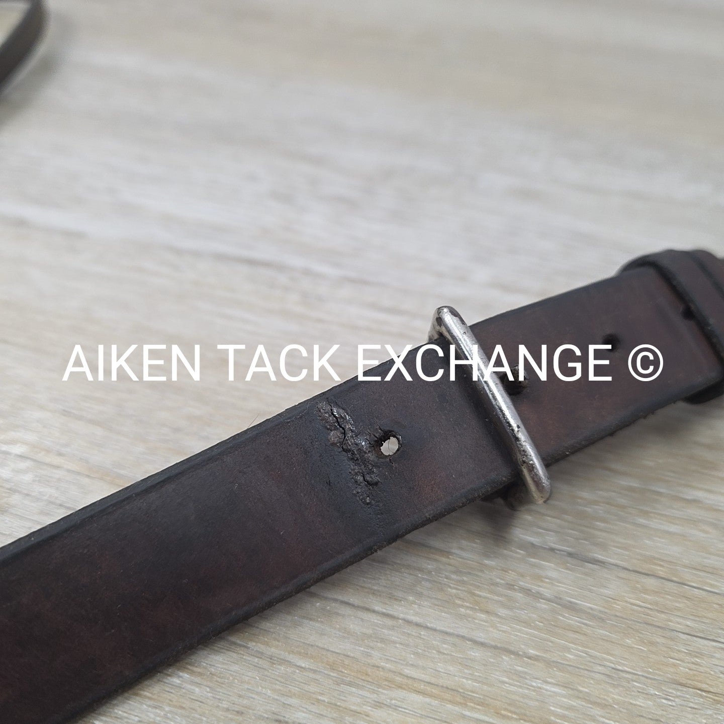 Horse Country First Flight Standing Martingale, Brown, Oversize