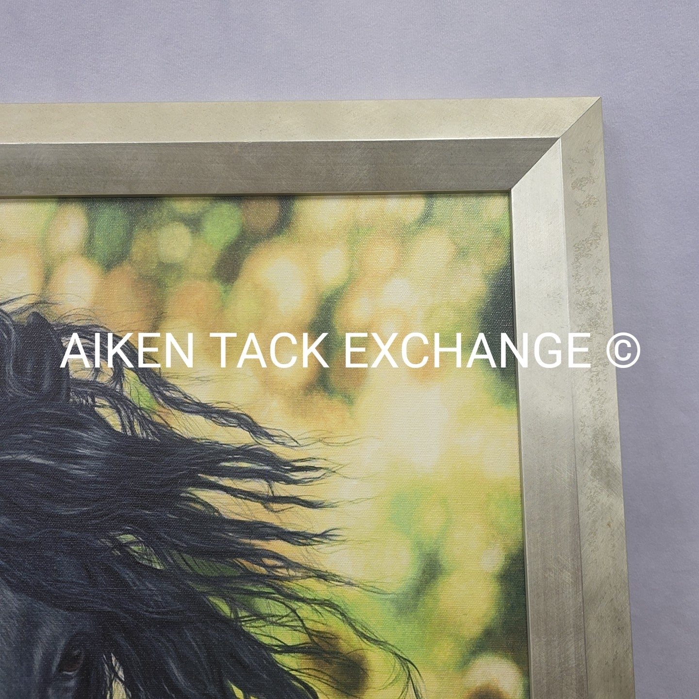 Horse Print on Canvas, 25.5" x 31.5"