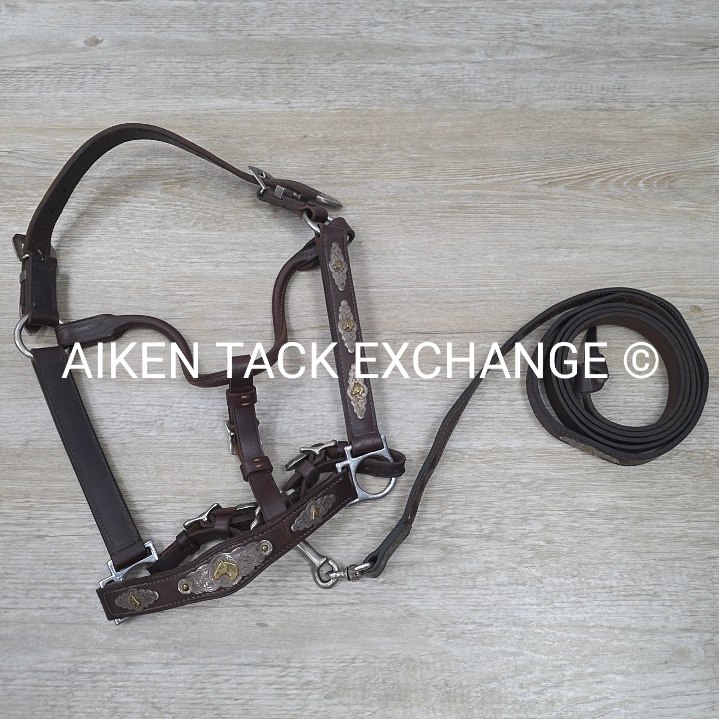 Victor Quality Westen Show Halter with Lead