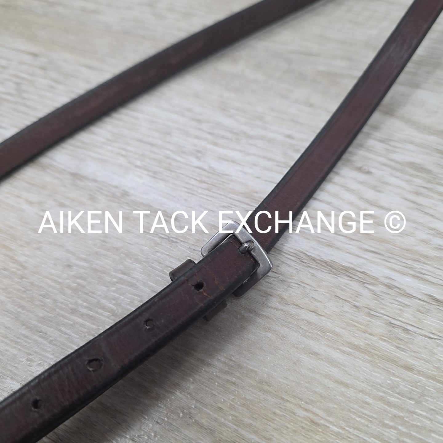 Hadfield Bridleworks Flat Standing Martingale, Size Extra Oversize