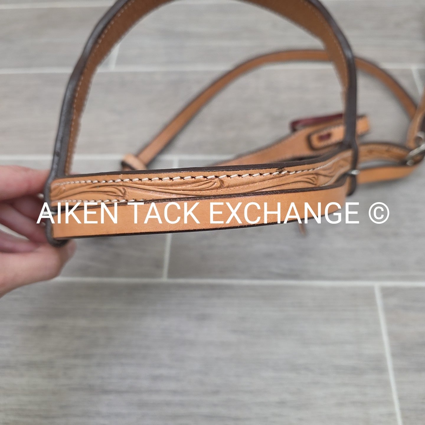 Showman Browband Headstall, No Reins
