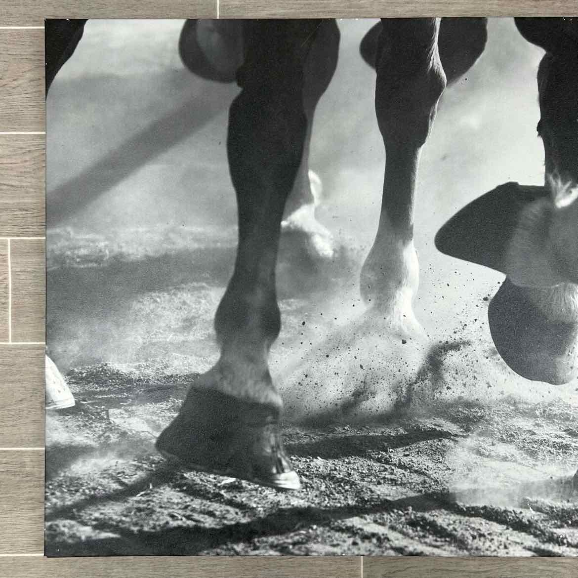 Photograph on Canvas: 36" x 24"