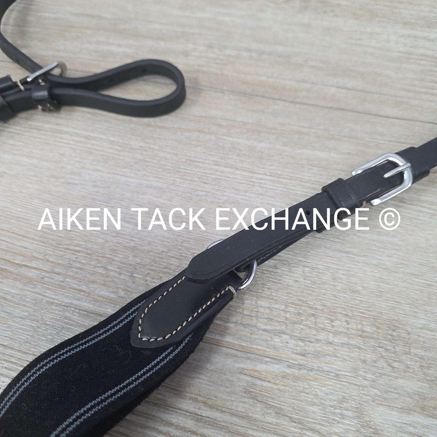 5 Point Elastic Breastplate with Running Martingale Attachment, Black, Size Pony