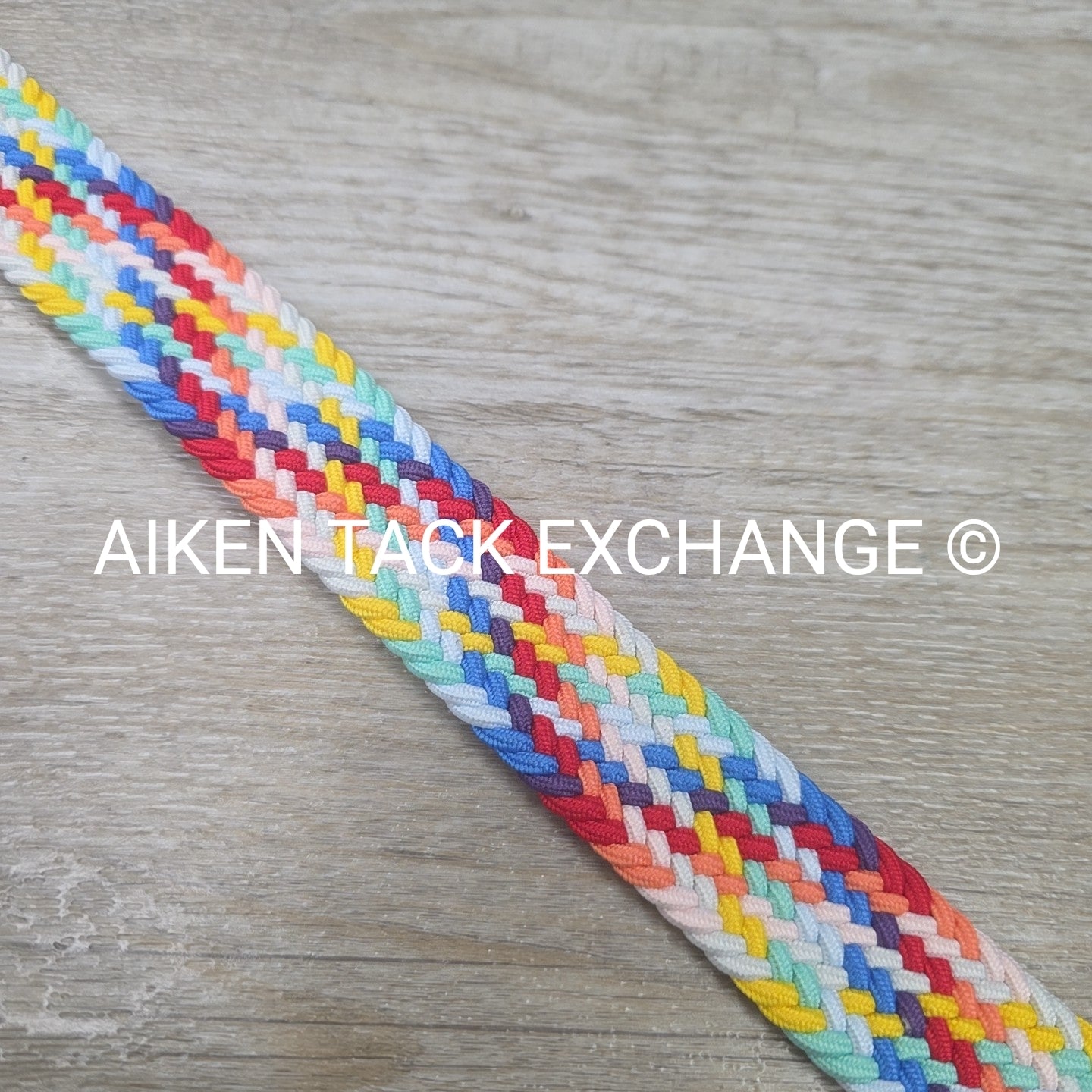 Equestly Braided Stretch Belt