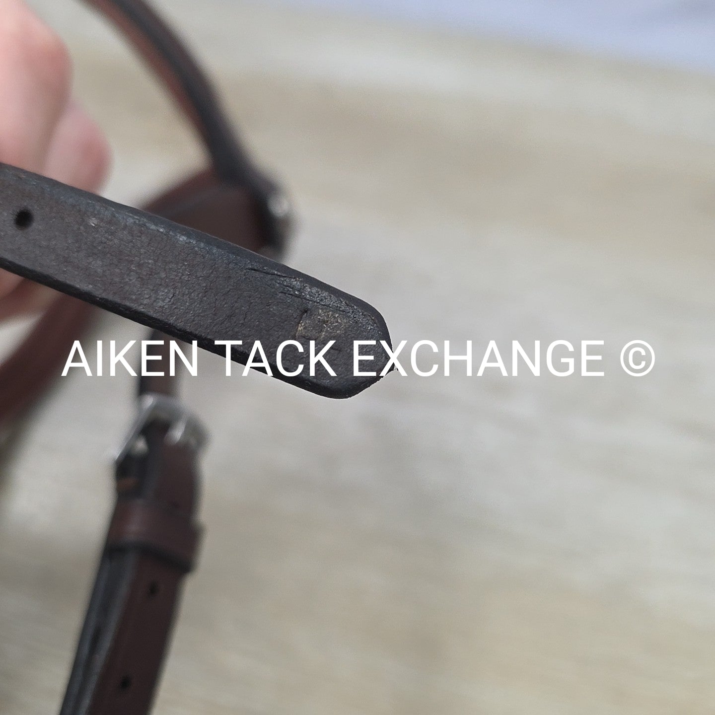 Trust Equestrian Hickstead Hackamore Bridle, No Reins, Brown, Size Full