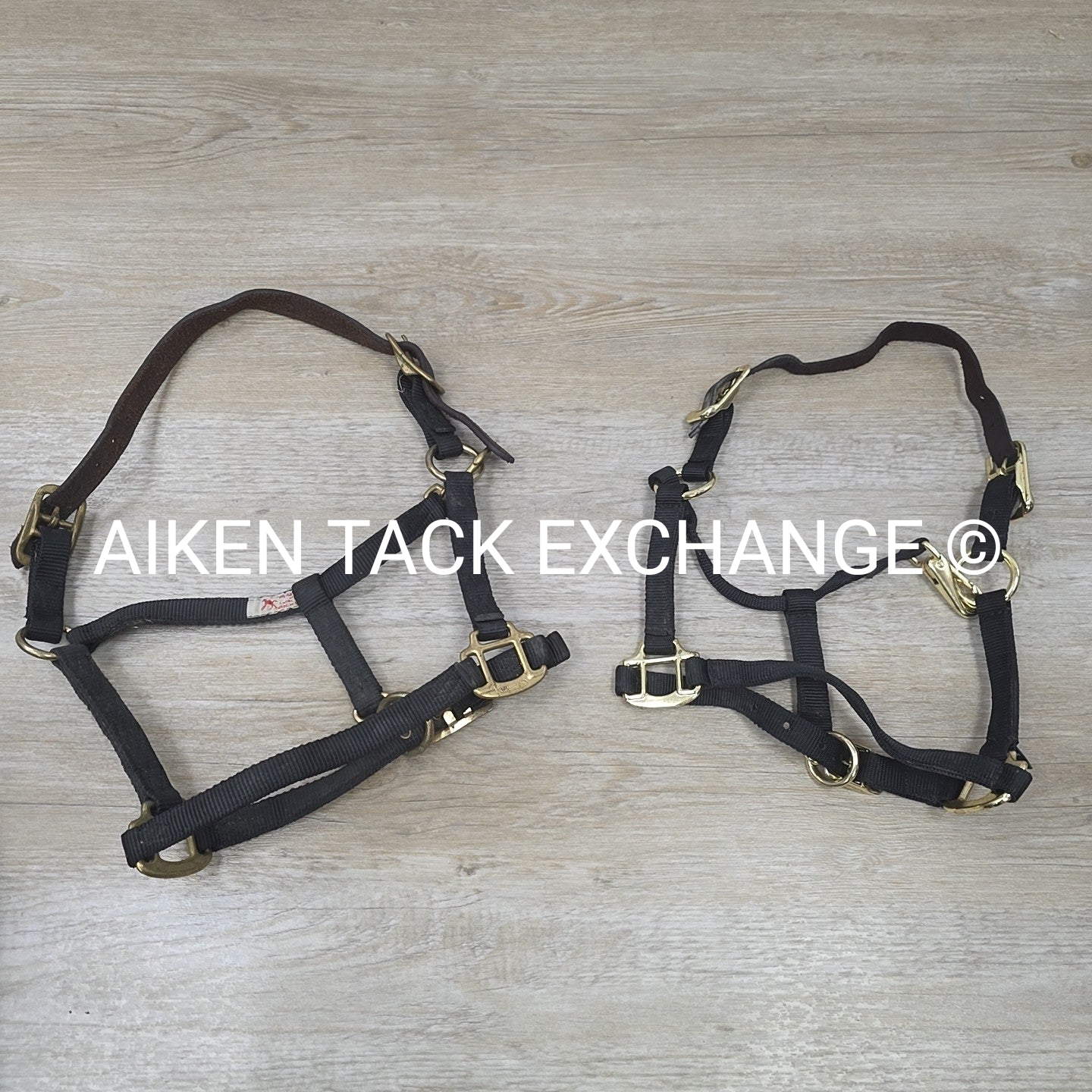 BARGAIN BUNDLE: 2 Nylon Breakaway Halters, Size Weanling / Pony