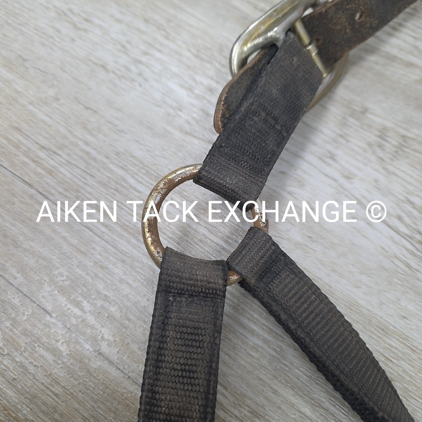 BARGAIN BUNDLE: Perri's Breakaway Halter, & Web Halter, Size Full