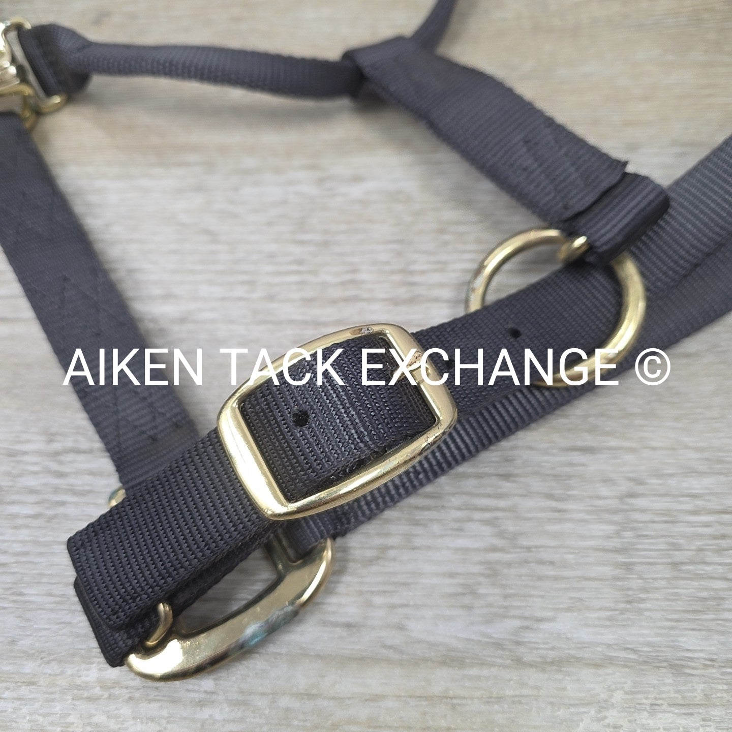 Nylon Halter, Size Medium