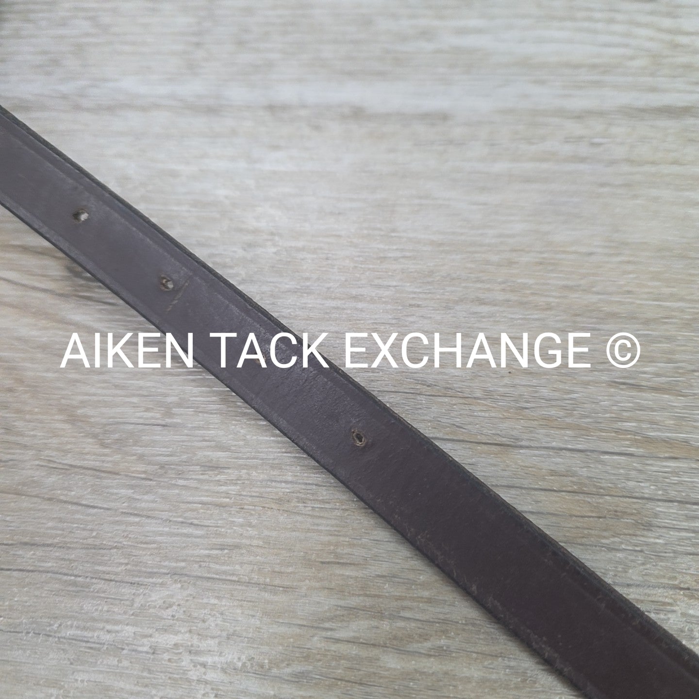 BARGAIN BUNDLE: Fancy Stitched Standing Martigale, Cob & Cotton Web Reins, Full