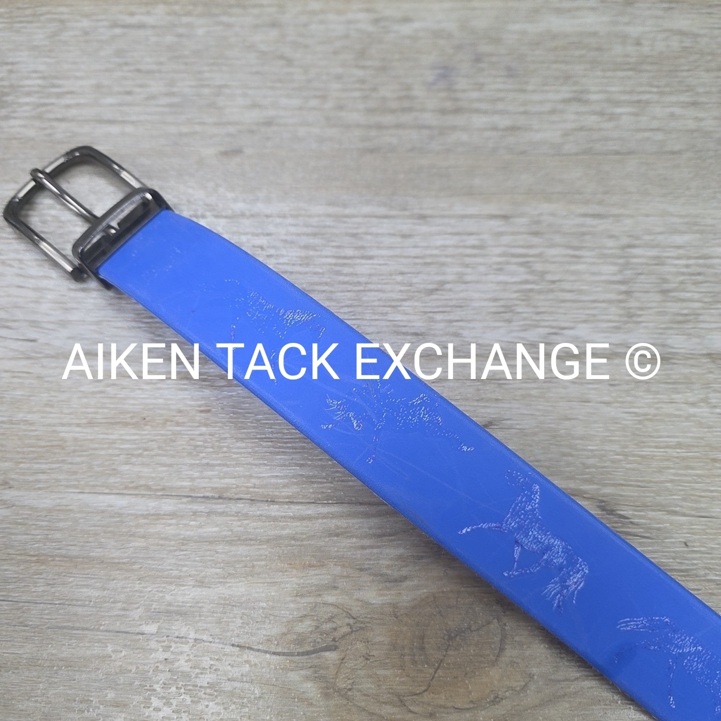 Equestrian Belt, 28"