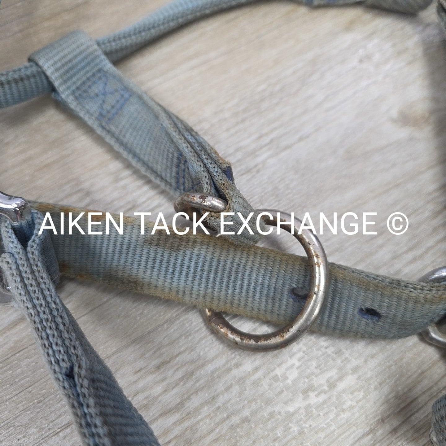 BARGAIN BUNDLE 4 Weaver Leather Nylon Halters, Size Horse