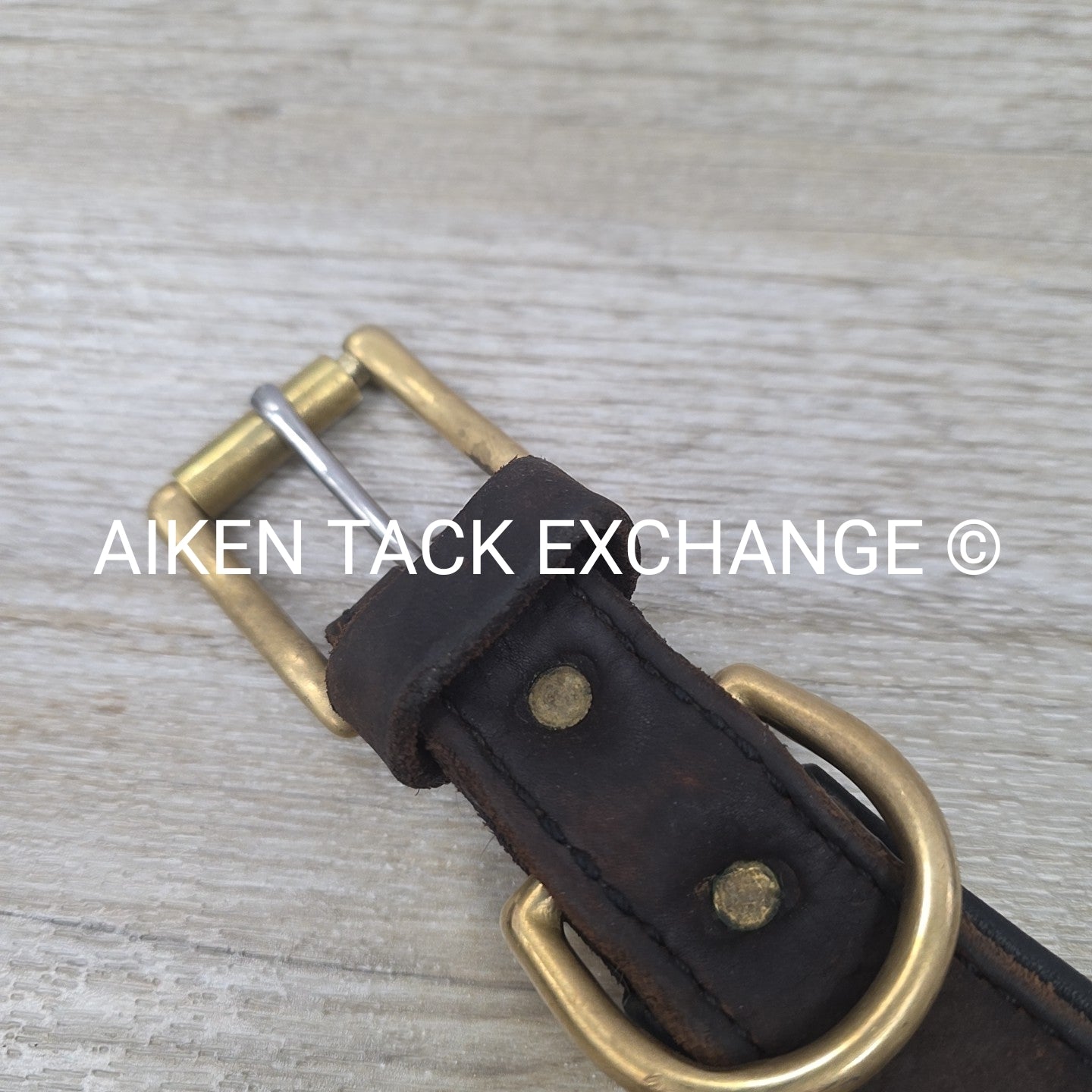 Heavy Duty Leather Padded Dog Collar, 18-22" (has blemishes)