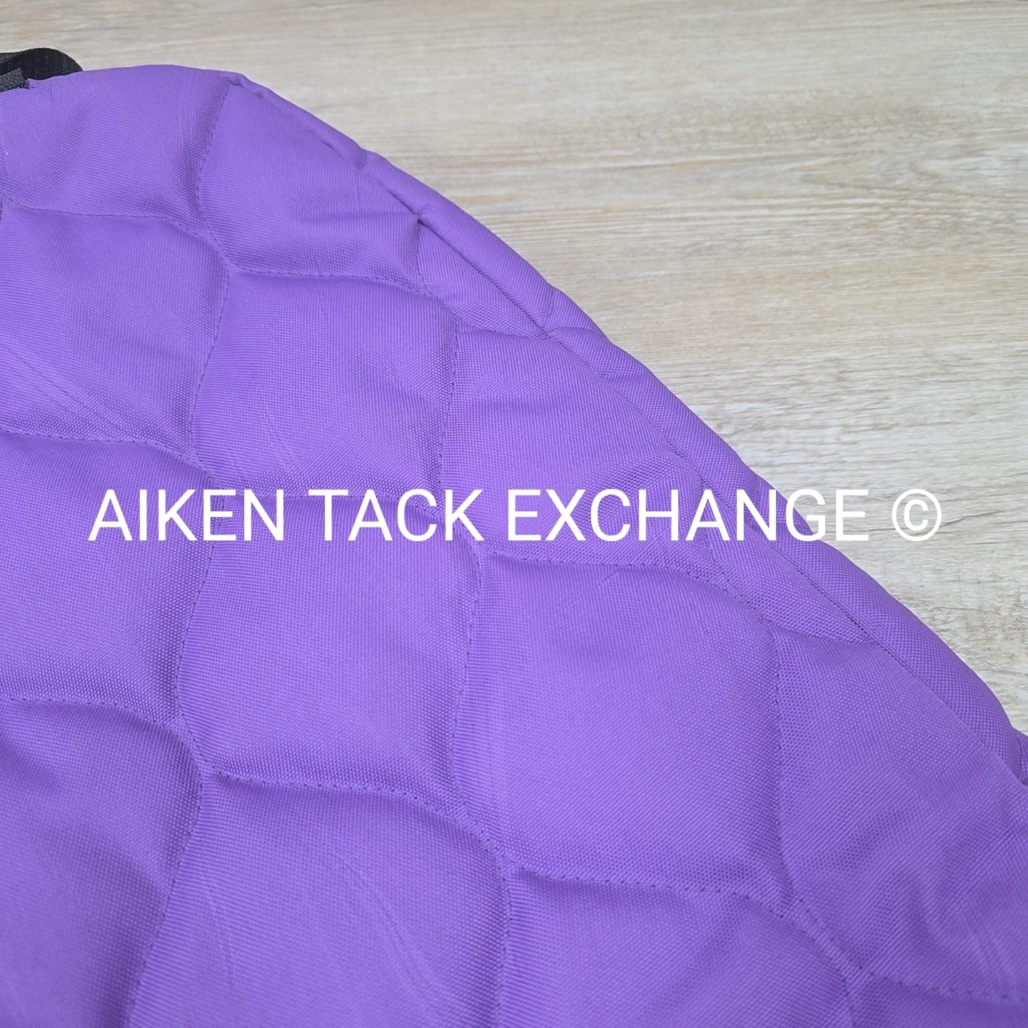 Padded Bridle Bag