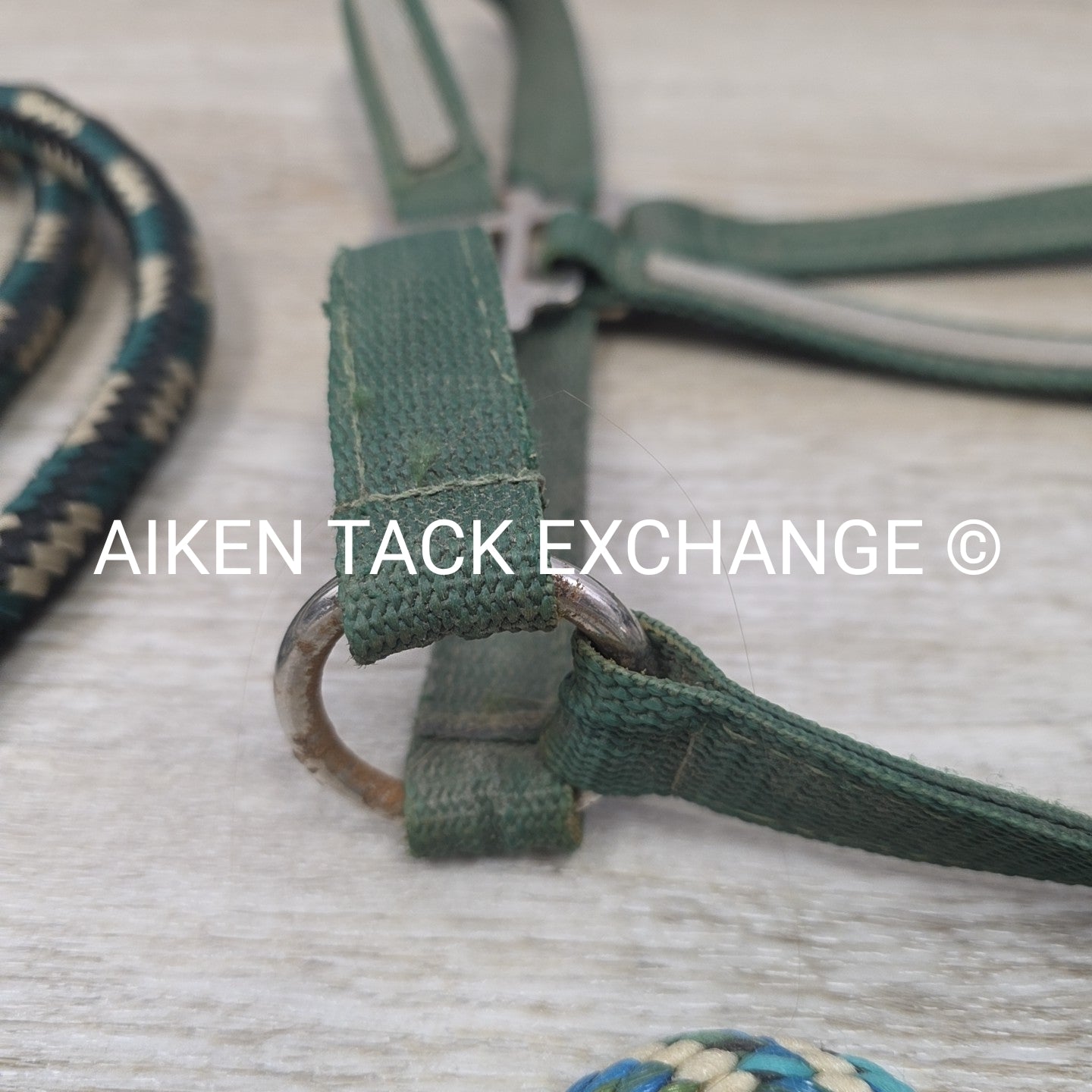 BARGAIN BUNDLE: Nylon Halter & Rope Halter