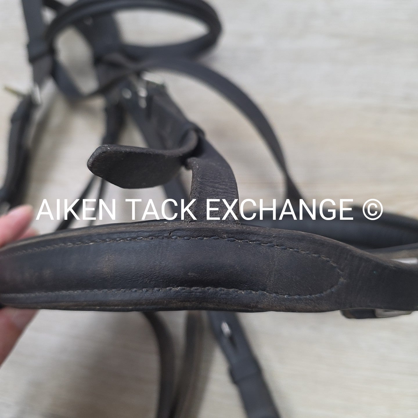 BARGAIN BUNDLE: Otto Schumacher Flash Bridle with Passier Cotton Web Reins, Blac