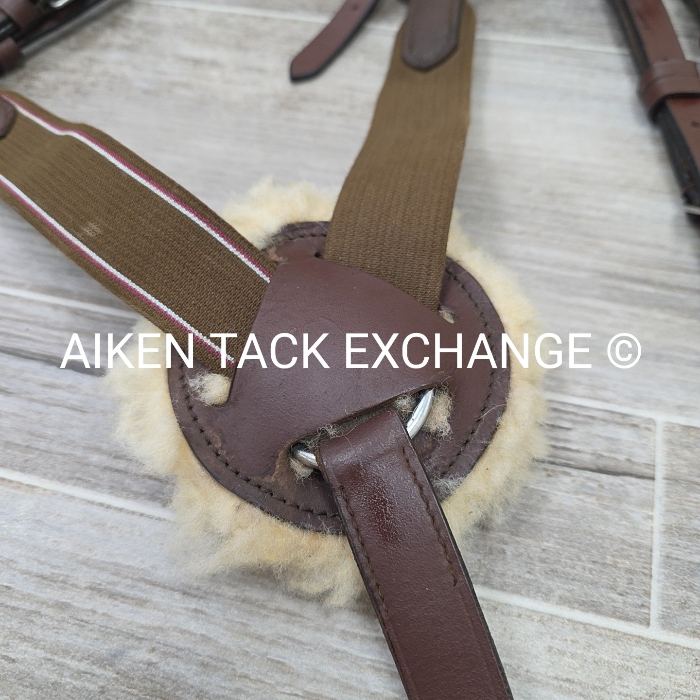 5 Point Breastplate with Running Martingale Attachment, Brown, Size Full