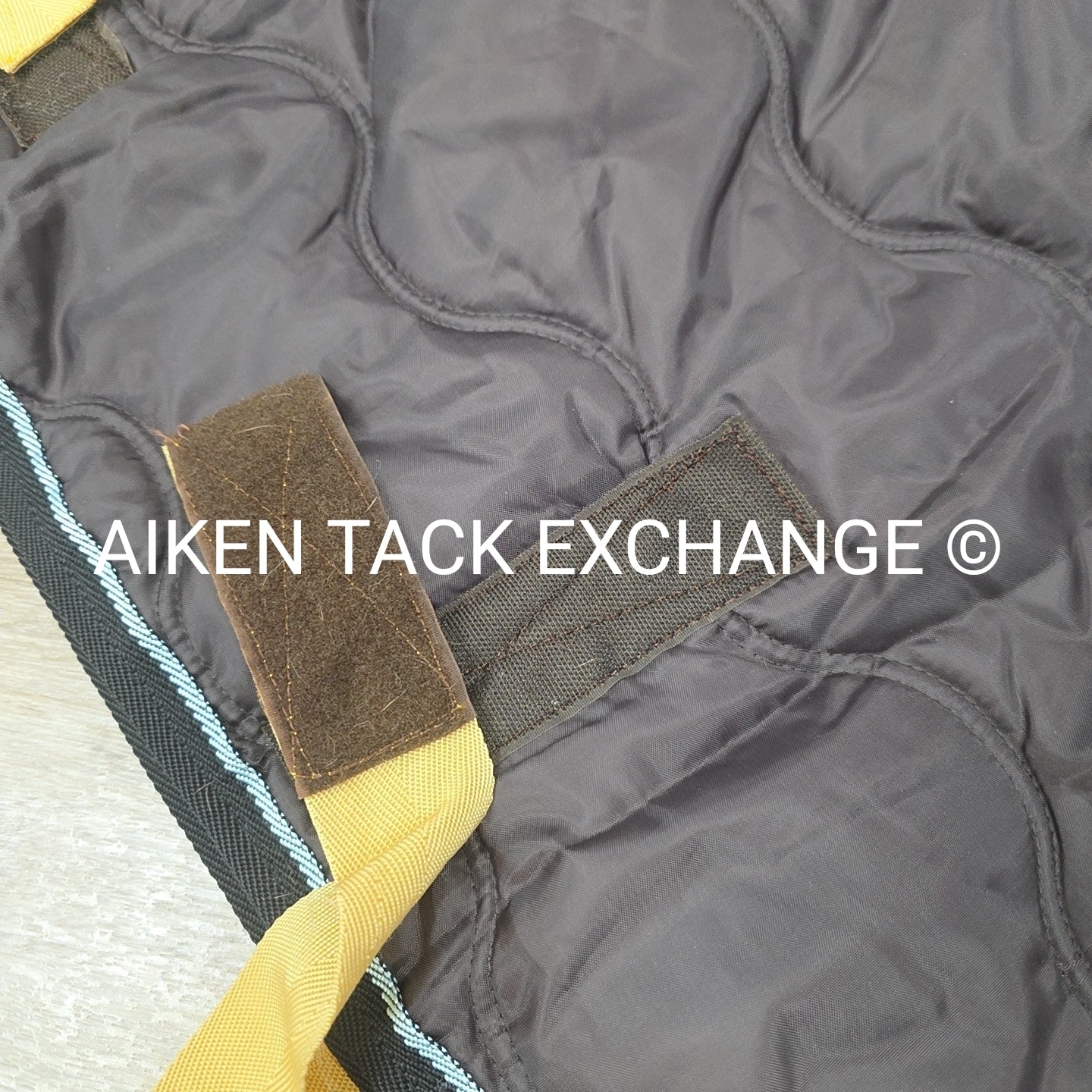 Harry Horse Dog Blanket, 26"