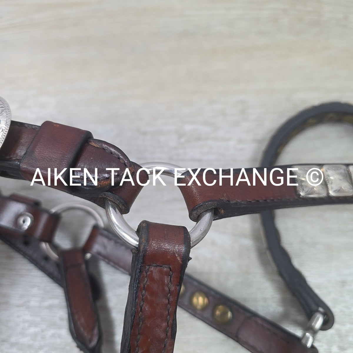Western Show Halter, Size Foal