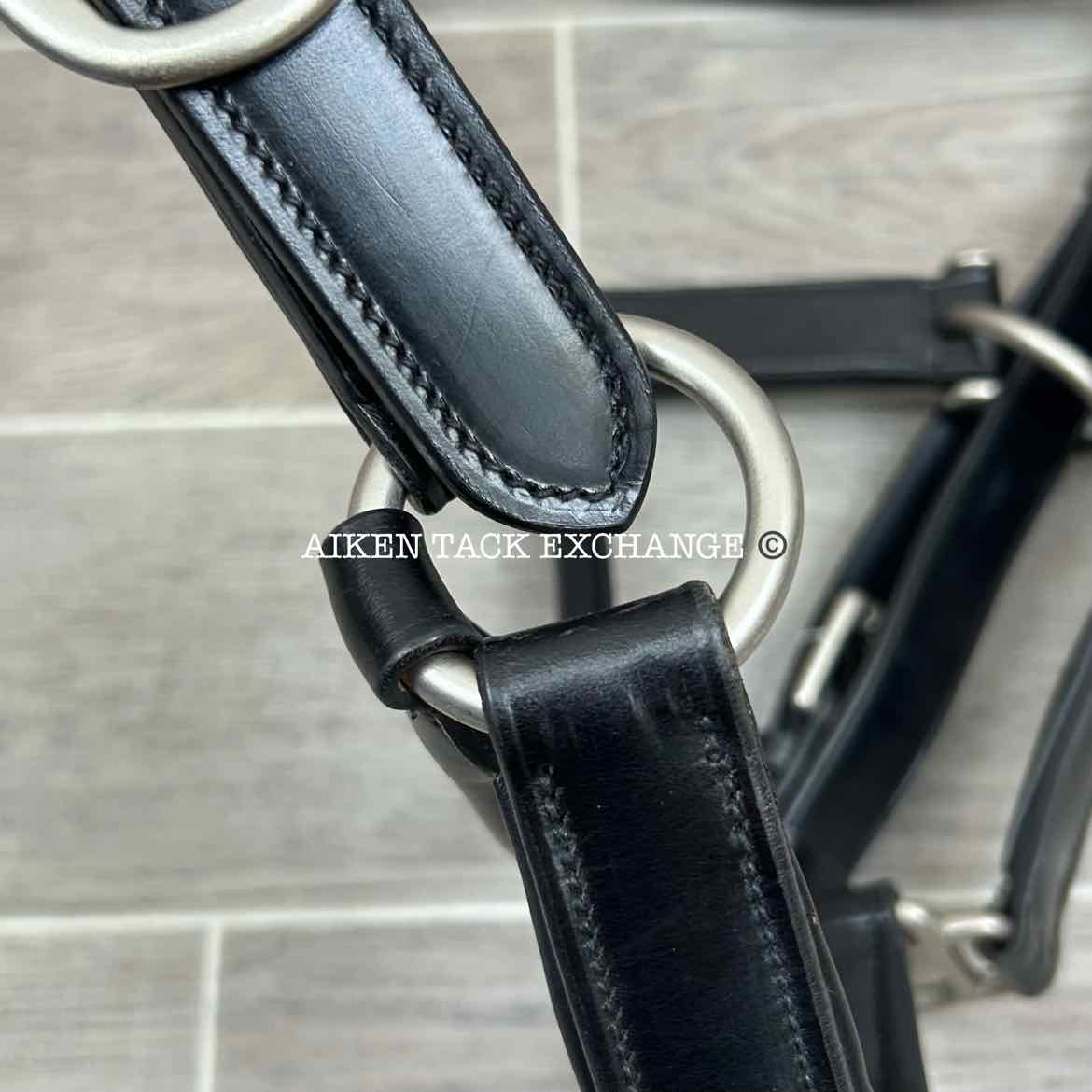 KL Select Red Barn Padded Leather Halter, Black/Nickel, Size Full