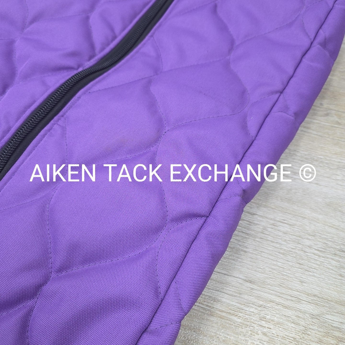 Padded Bridle Bag