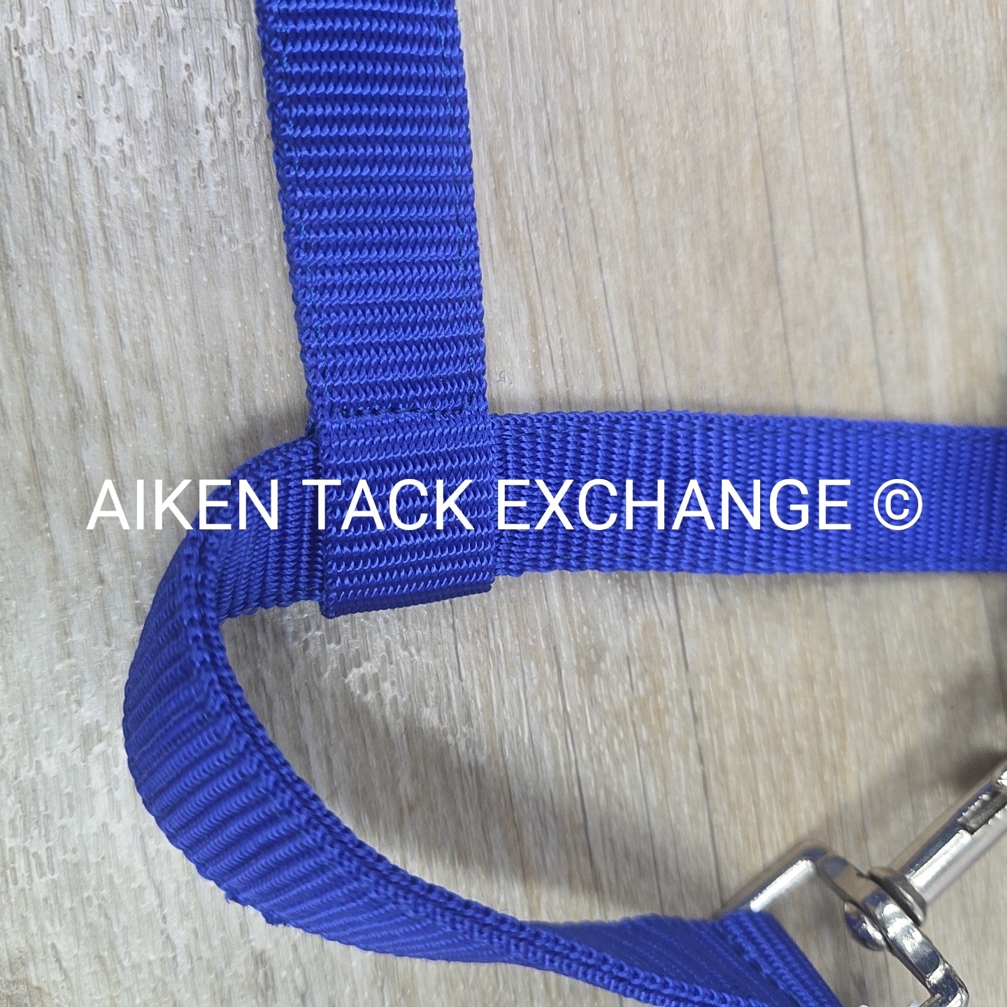 TuffRider Breakaway Nylon Halter & Lead Rope Set, Blue, Size Full
