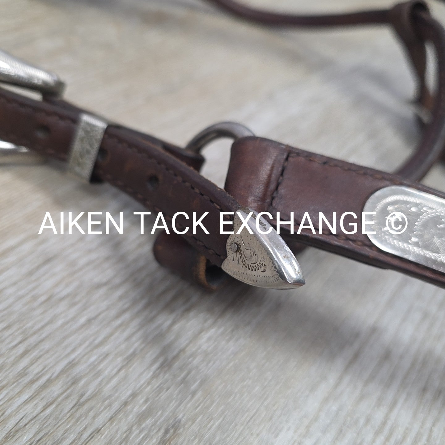 Circle Y Engraved Show Halter with Matching Lead, Size Full