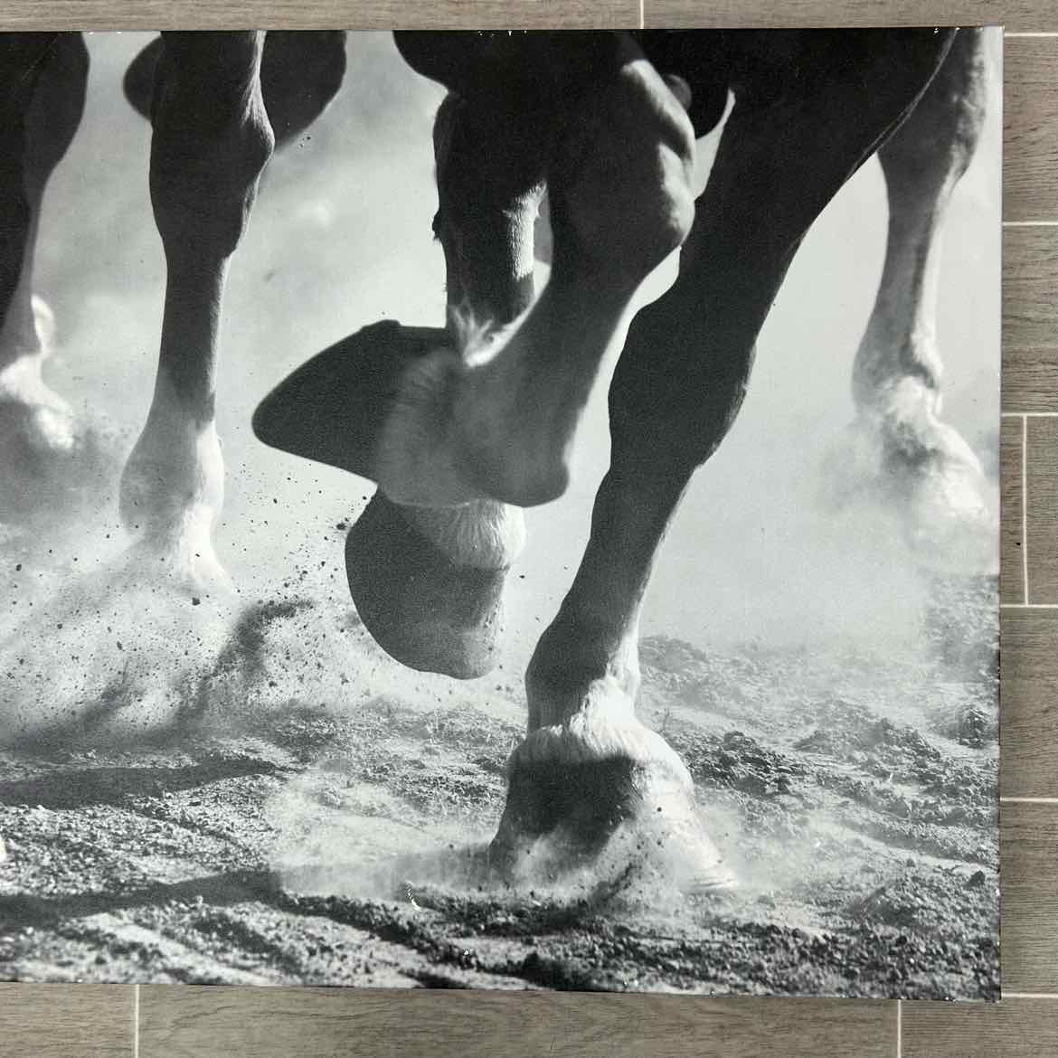 Photograph on Canvas: 36" x 24"