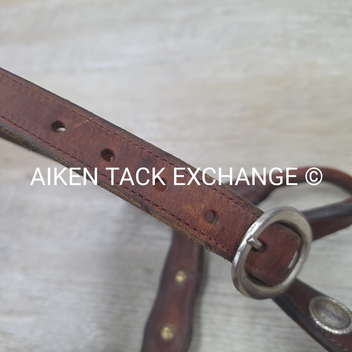 Western Show Halter, Size Full