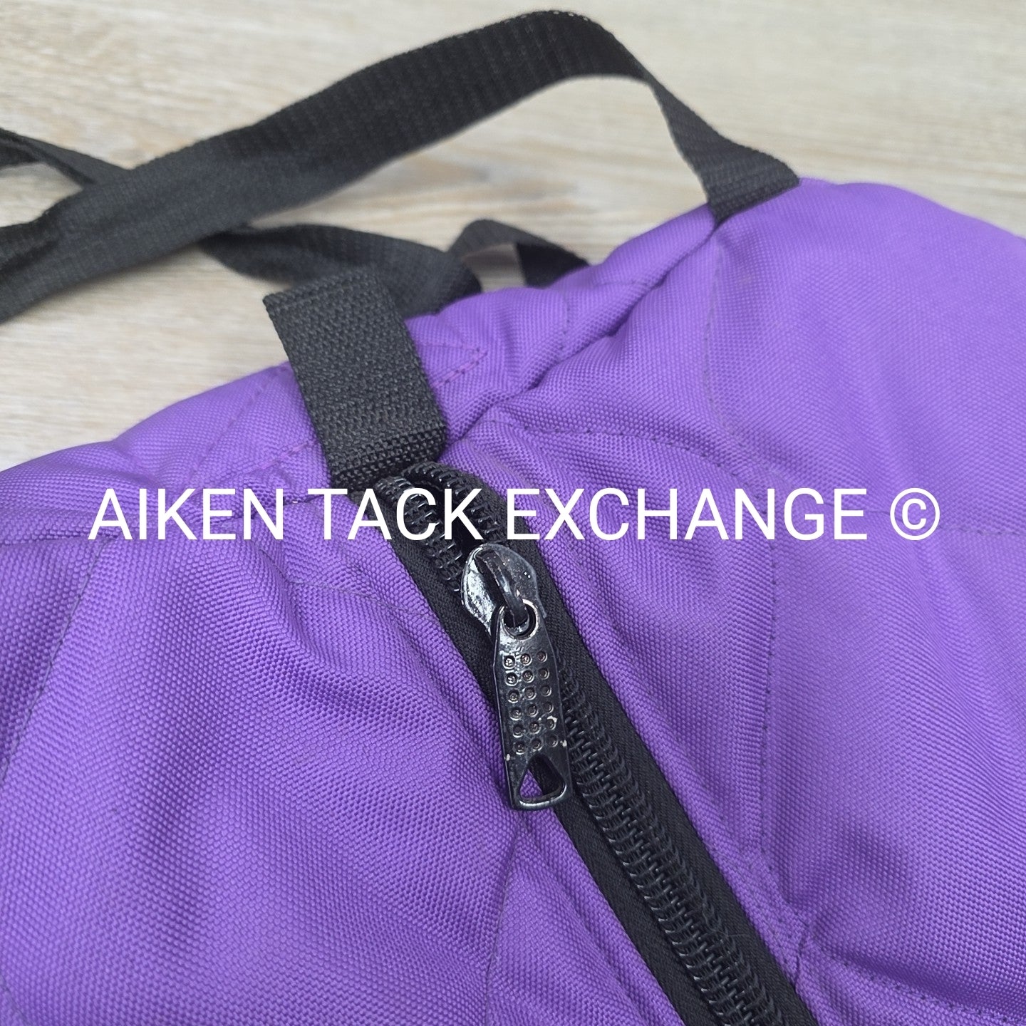 Padded Bridle Bag