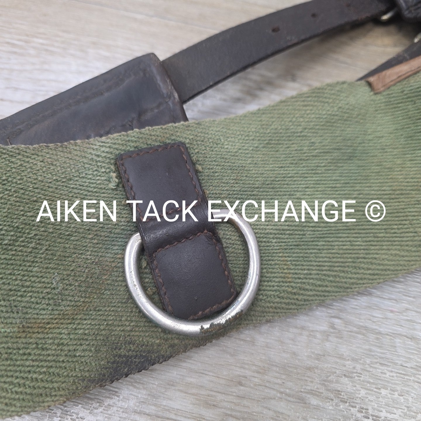 Dover Saddlery Classic Web Training Surcingle