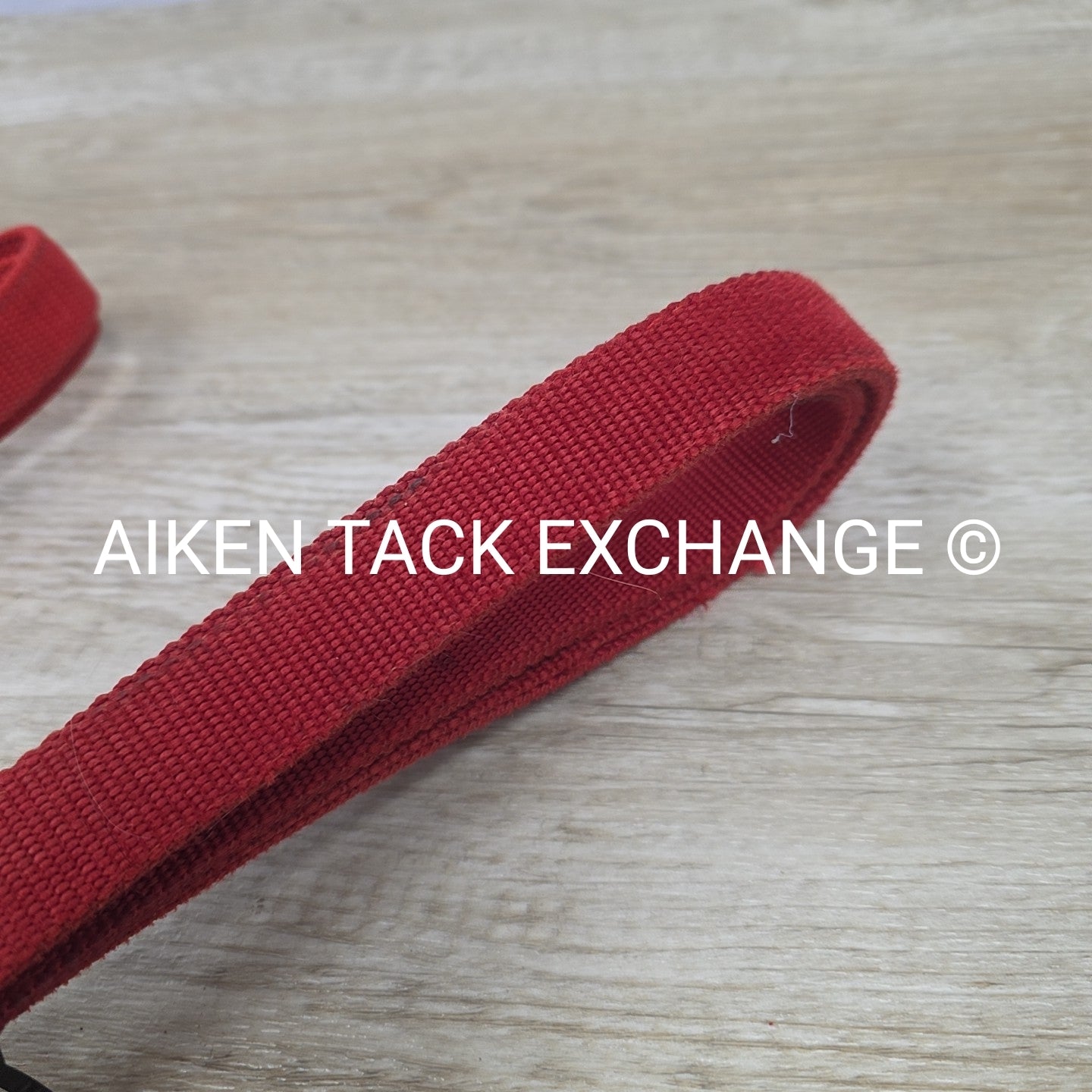 BARGAIN BUNDLE: 2 Nylon Leads with Chains