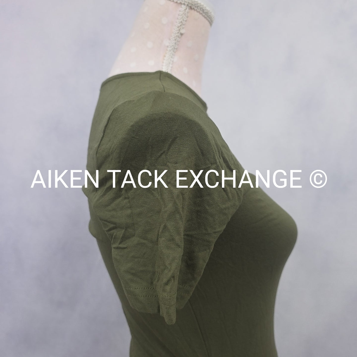 Venus T-Shirt Dress, Size X-Small