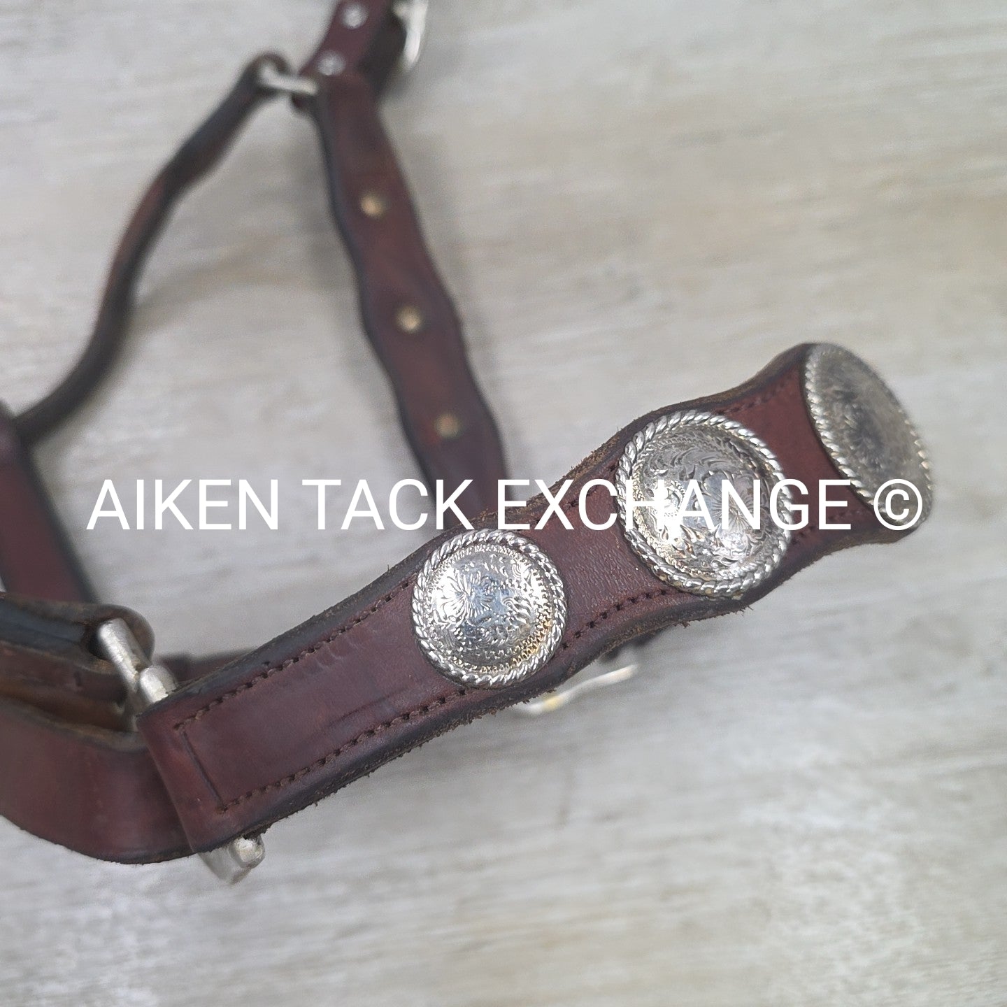 Western Show Halter, Size Full