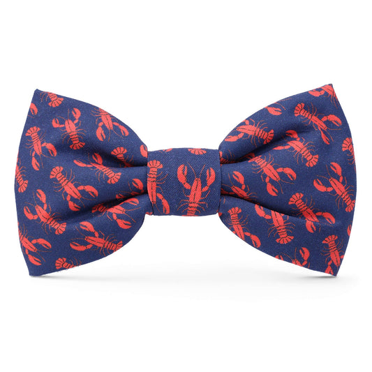 Catch of the Day Summer Dog Bow Tie: Standard