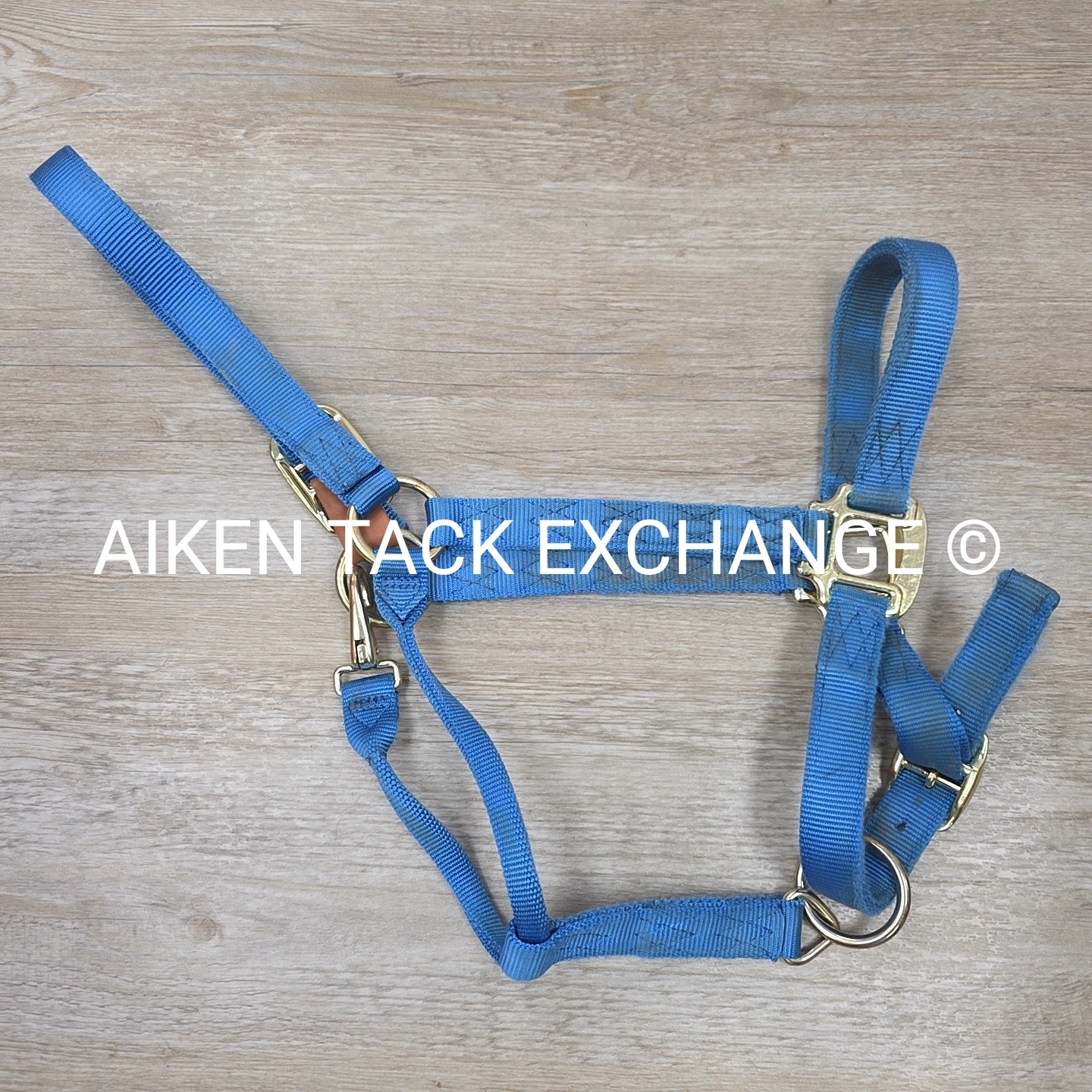 Nylon Breakaway Halter, Size Large