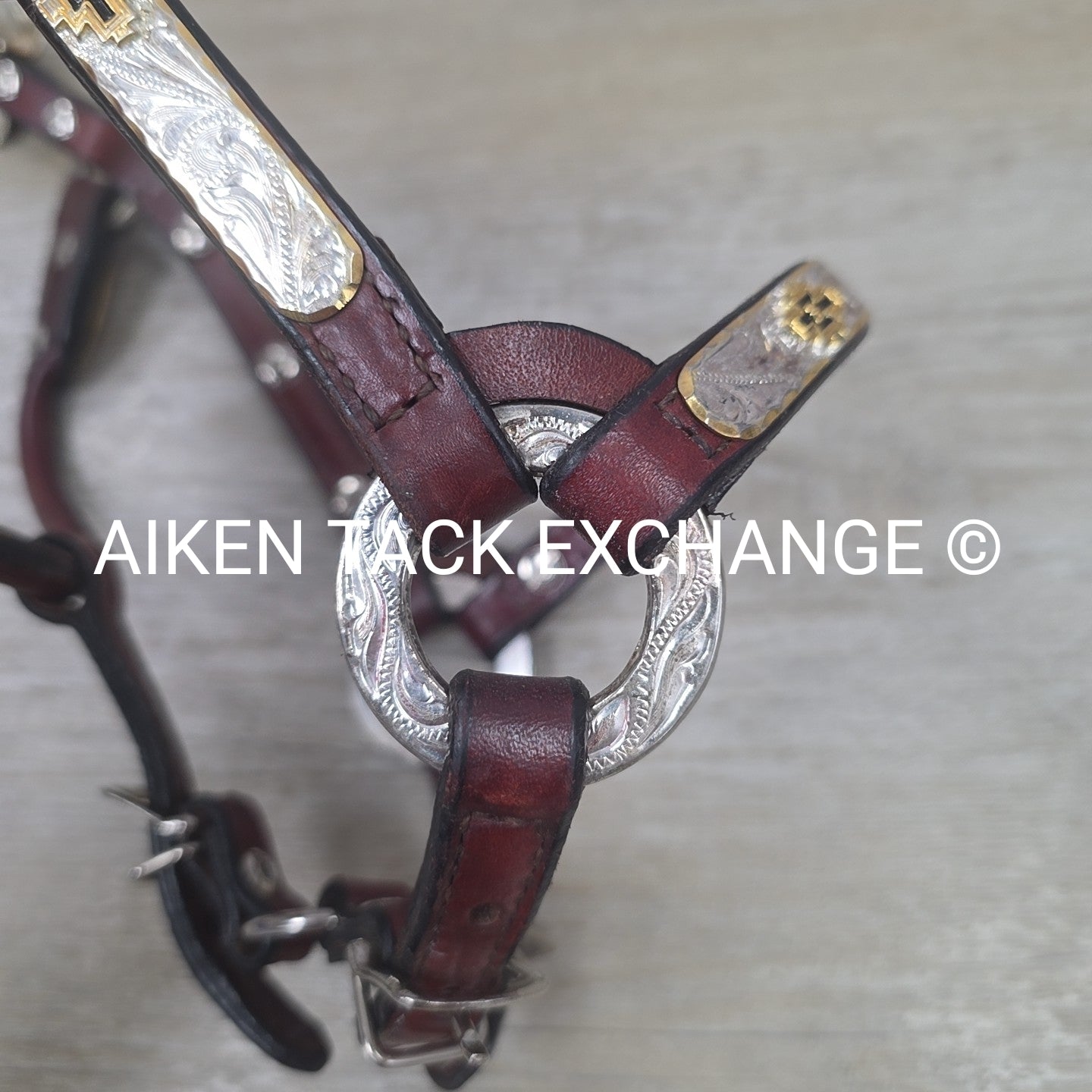 Western Show Halter, Size Foal