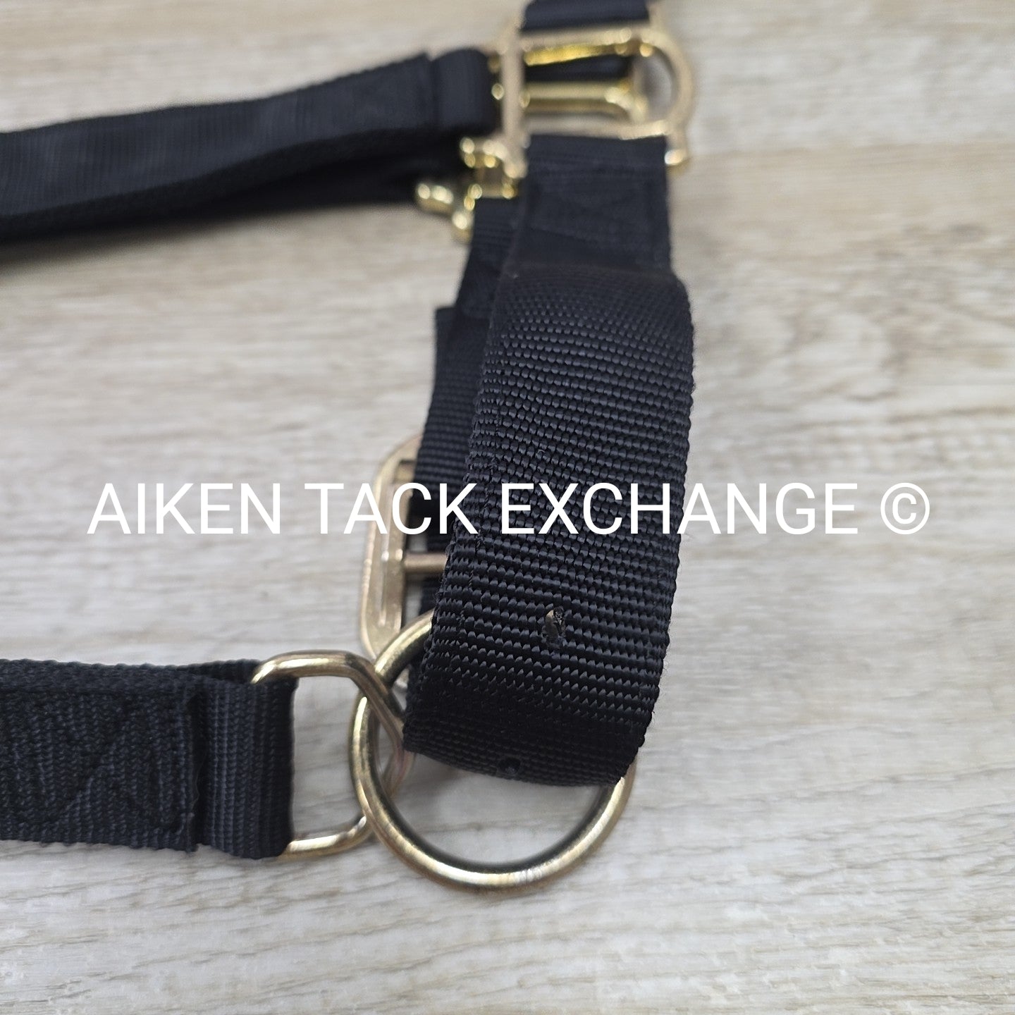 Weaver Leather Halter, Draft