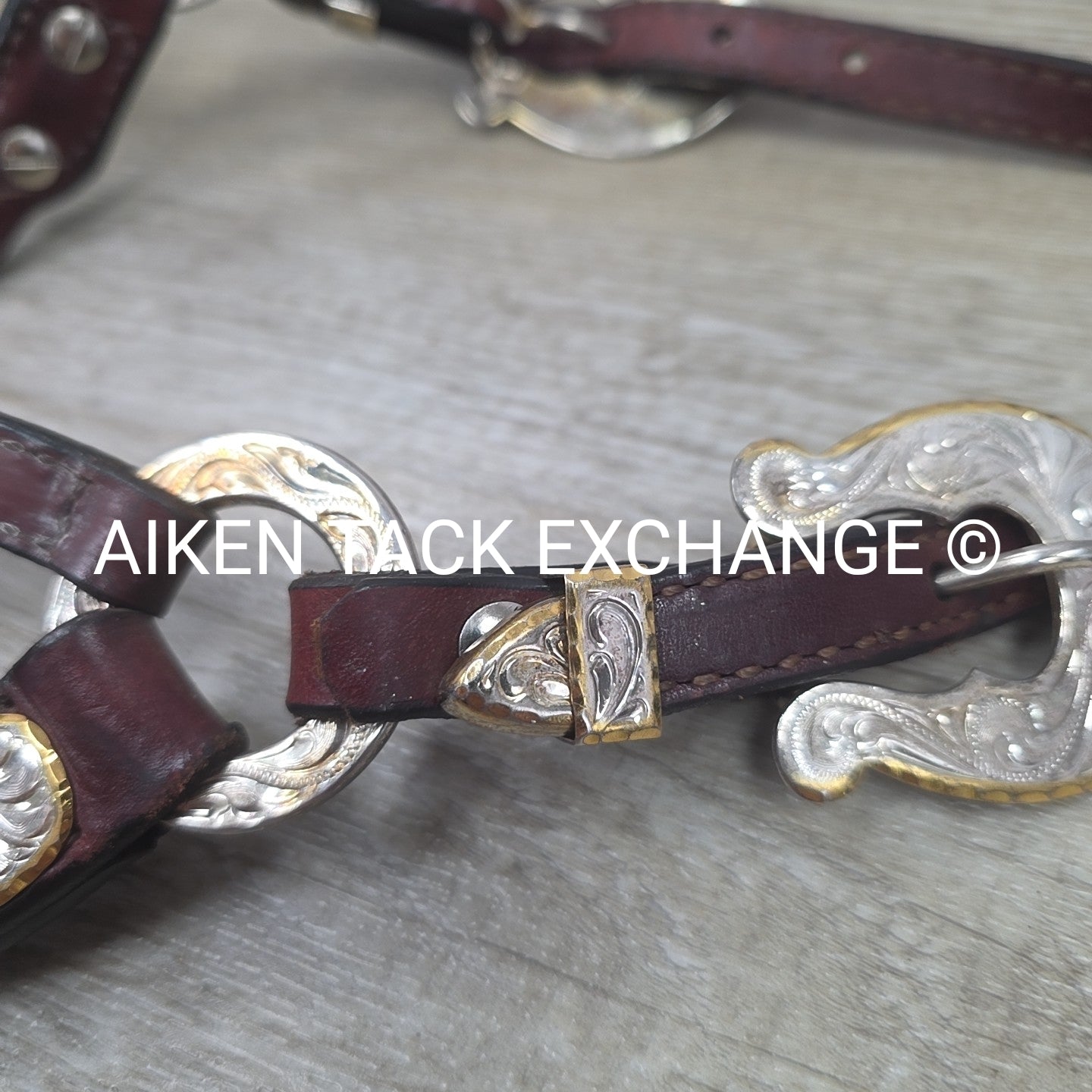 Western Show Halter, Size Foal