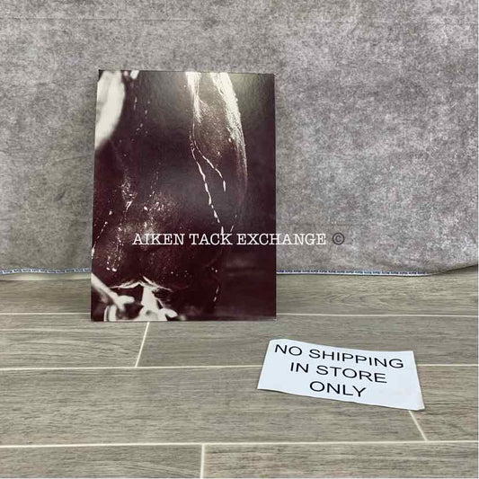 Decorative Mounted Equine Photography (10x14)