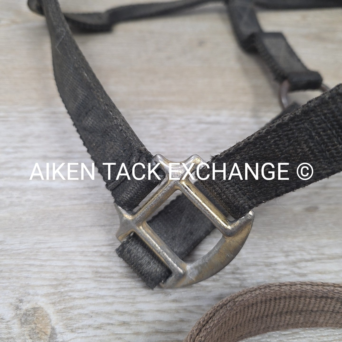 BARGAIN BUNDLE: 4 Weaver Leather Nylon Halters, Size Horse