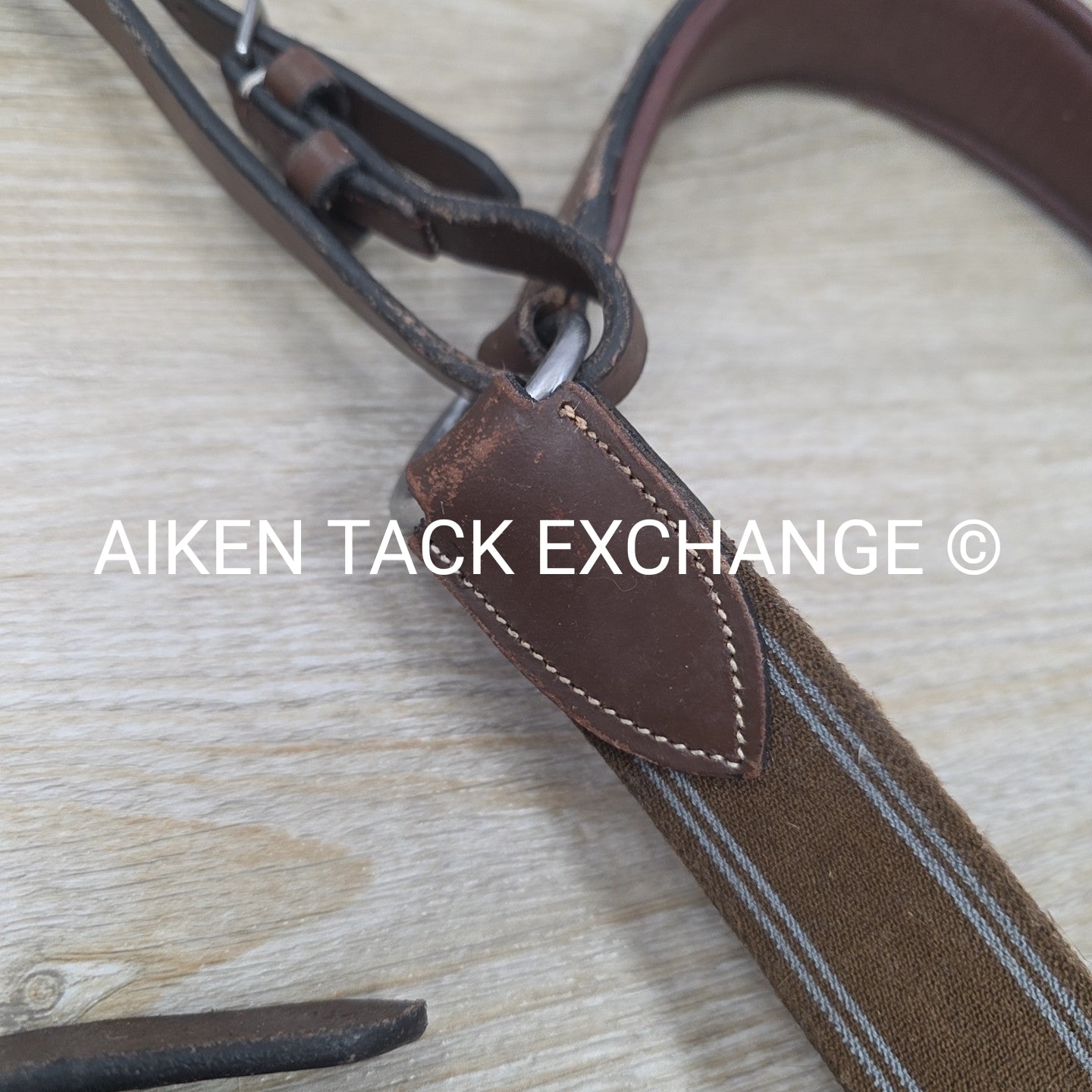 HDR Pro 5 Point Elastic Breastplate, Brown, Size Full