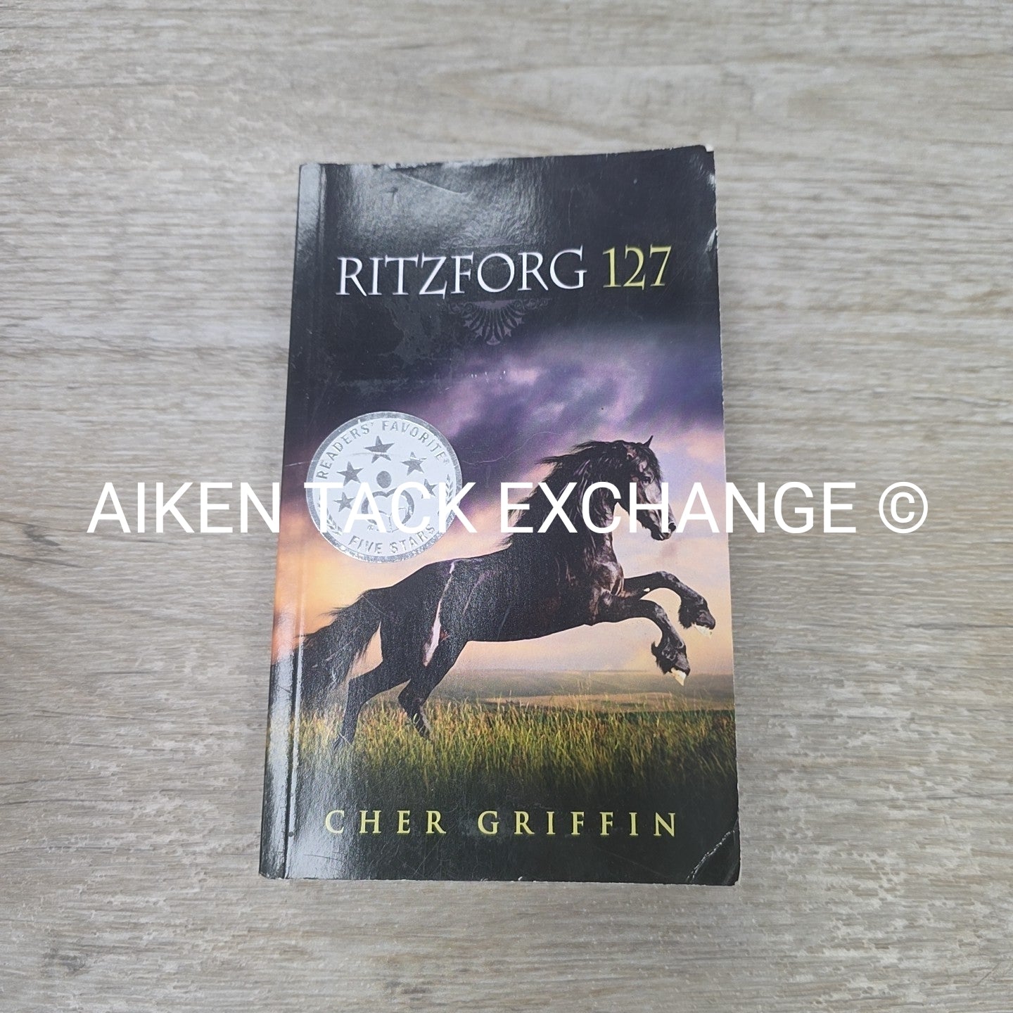 Ritzforg 127 by Cher Griffin
