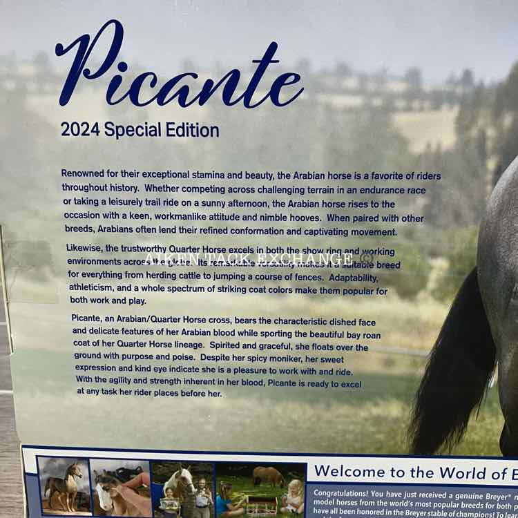 Breyer Picante 2024 Special Edition