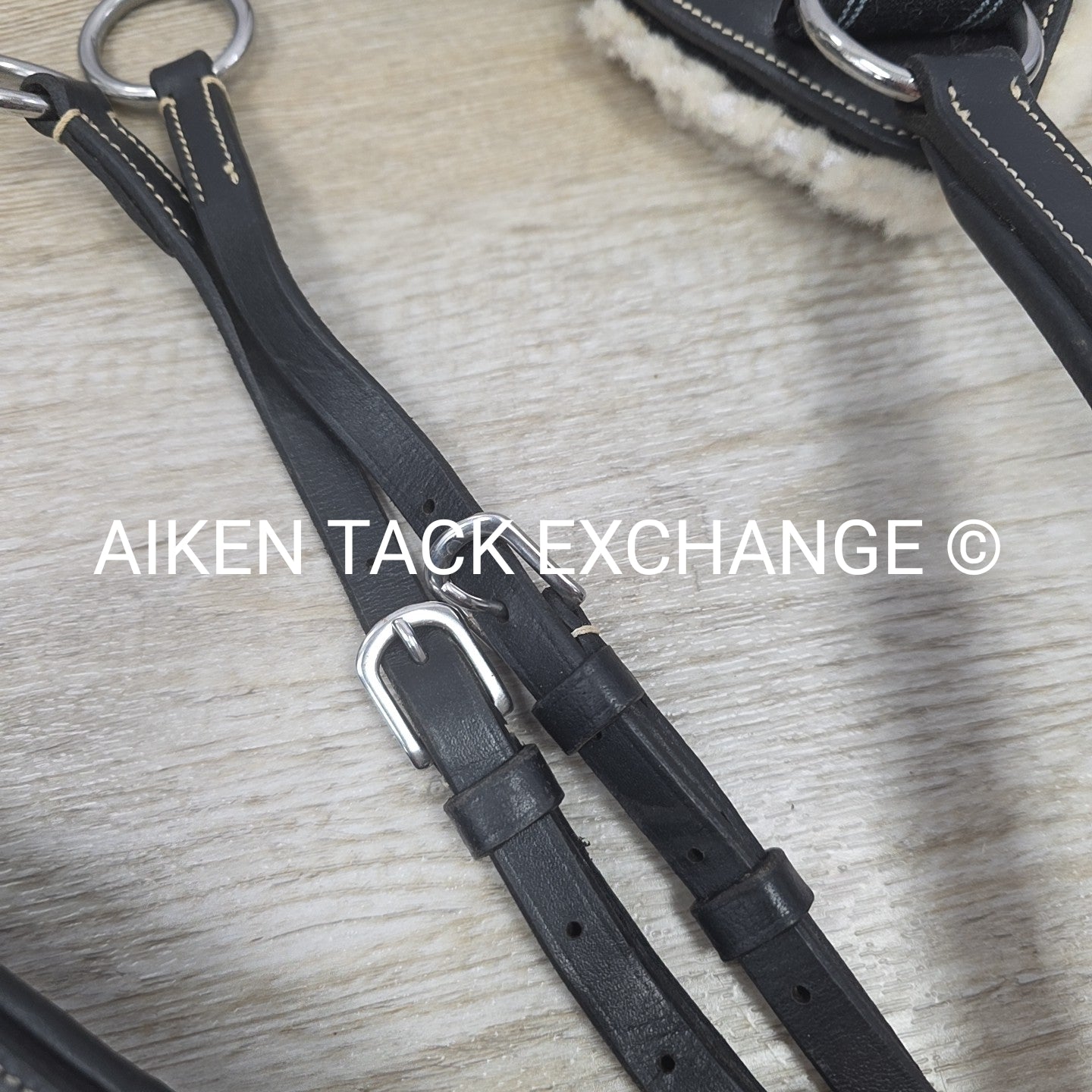 5 Point Elastic Breastplate with Running Martingale Attachment, Black, Size Pony